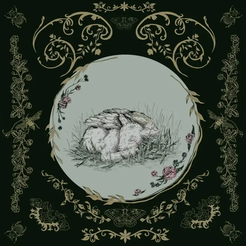 Baby Bugs - Wishing for Wounds