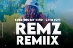 Crim Soft – Sweeting My Mind (Speed Up)