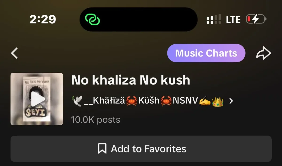 Khaliza Kush – No Khaliza No Kush