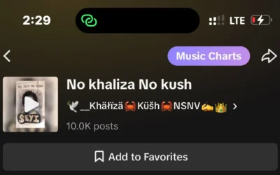 Khaliza Kush – No Khaliza No Kush