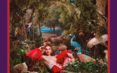 Kinneret – Field Guide (Album)