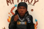 Li2vibez – My Party
