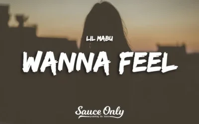 Lil Mabu – Wanna Feel