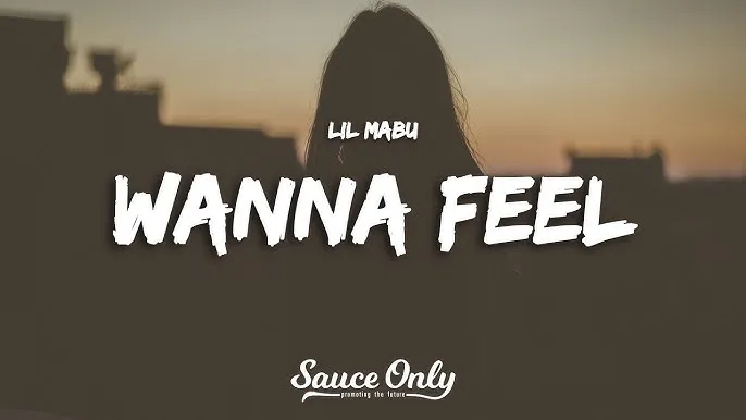 Lil Mabu – Wanna Feel