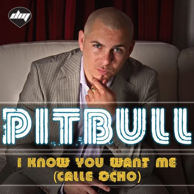 Pitbull – I Know You Want Me (Calle Ocho)