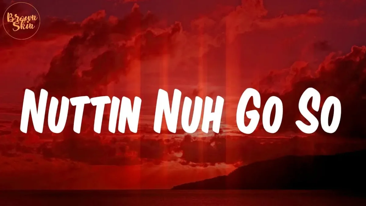 Sean Paul – Nuttin No Go So