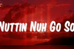 Sean Paul – Nuttin No Go So
