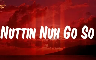 Sean Paul – Nuttin No Go So