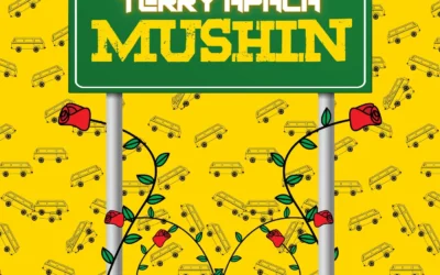 Terry Apala – Mushin
