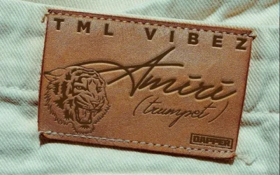Tml Vibez – Amiri