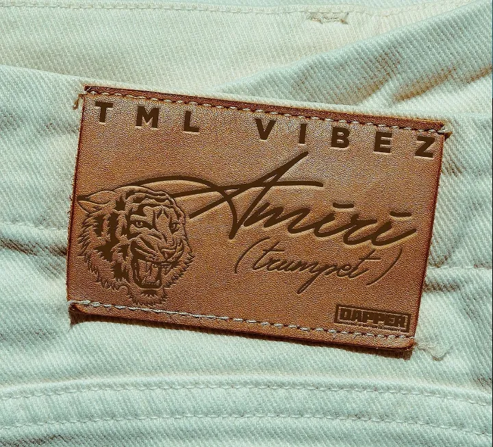 Tml Vibez – Amiri