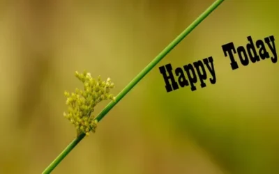 Baldwin Brederick – Cricket